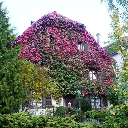 B&B De Charme La Maison Des 5 Temps Ferrette Kültér fotó