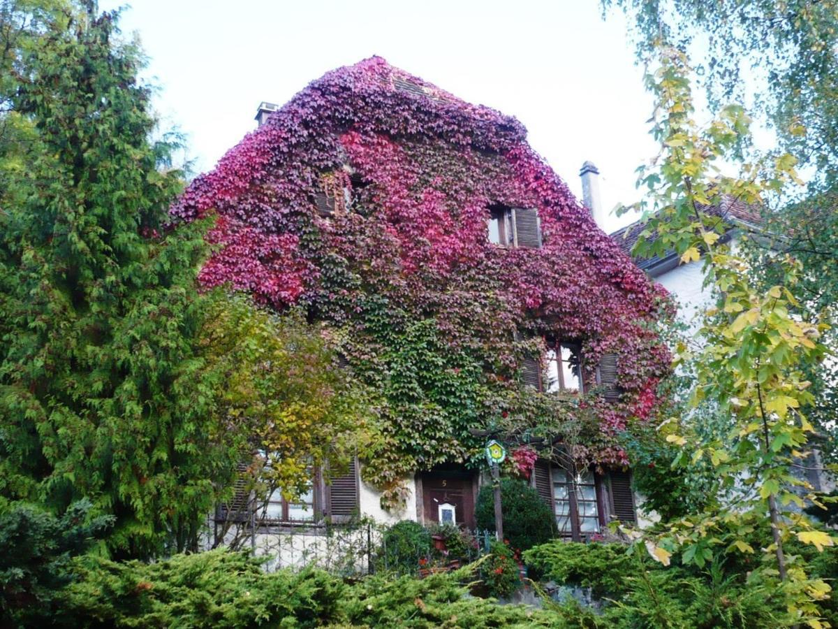 B&B De Charme La Maison Des 5 Temps Ferrette Kültér fotó