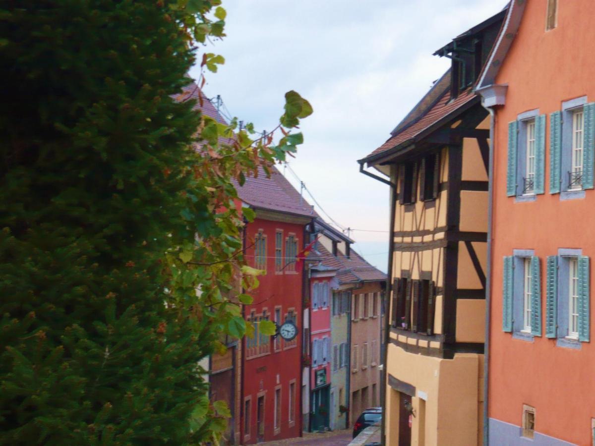 B&B De Charme La Maison Des 5 Temps Ferrette Kültér fotó