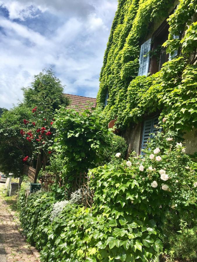 B&B De Charme La Maison Des 5 Temps Ferrette Kültér fotó