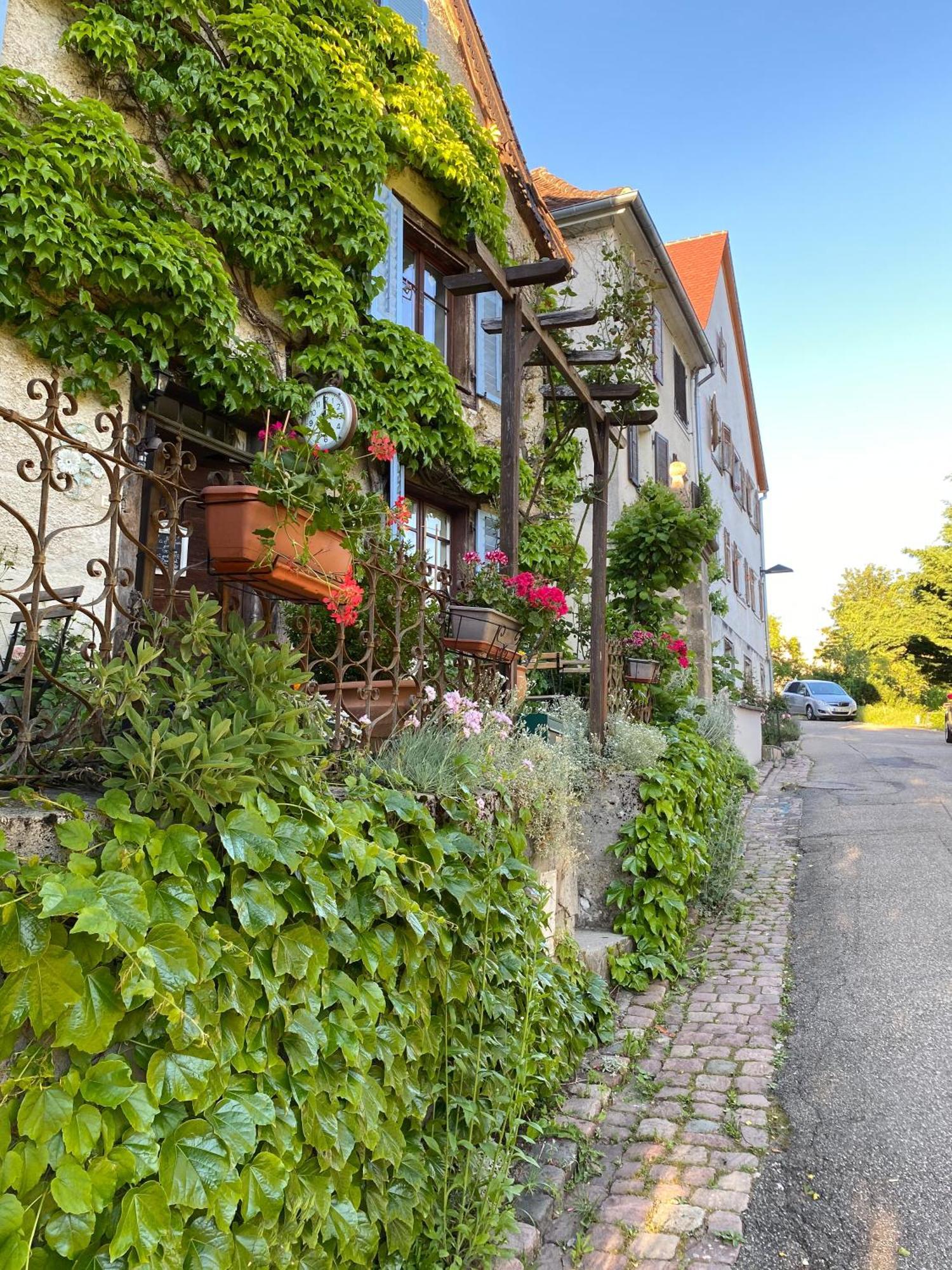 B&B De Charme La Maison Des 5 Temps Ferrette Szoba fotó