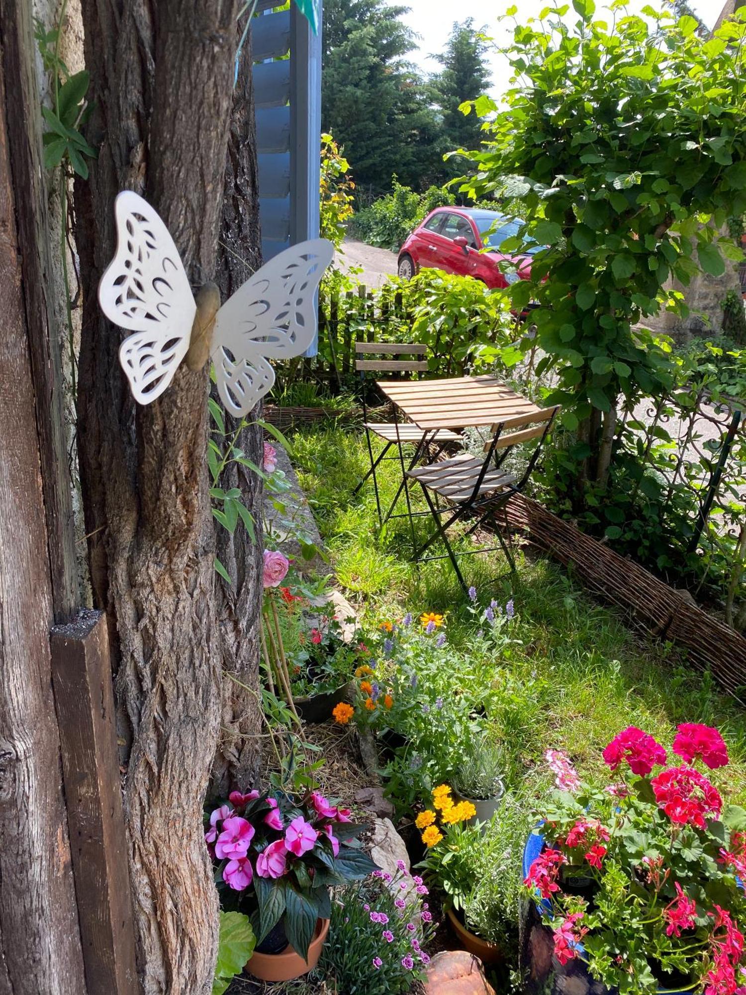 B&B De Charme La Maison Des 5 Temps Ferrette Szoba fotó